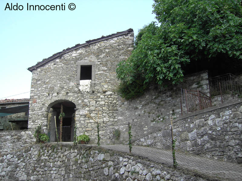 PETROGNOLA: SAGRA DEL FARRO AIA DEL PUCCI 5
